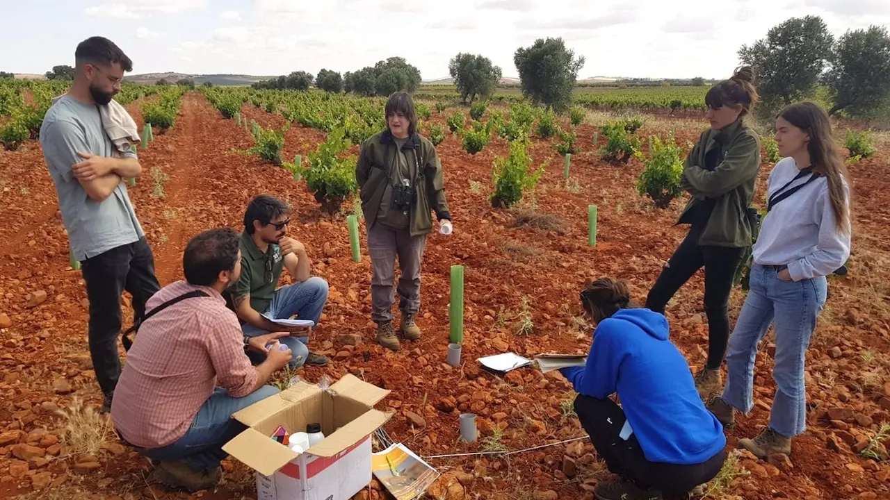 Los cinco proyectos en Castilla-La Mancha del programa 'Secanos Vivos' inician su segunda fase