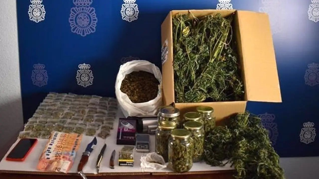 Desmantelan en Tomelloso (Ciudad Real) un centro de producción y distribución de marihuana