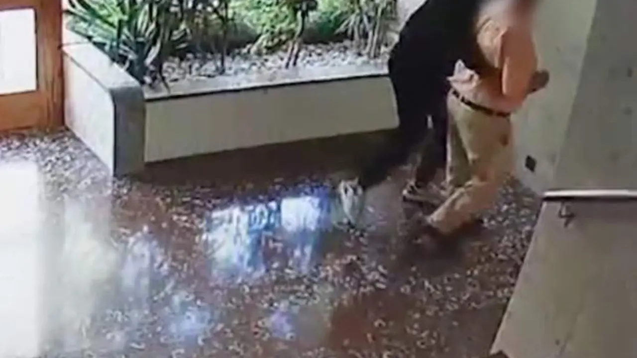 VIDEO. Así actúa la banda del abuelo: desvalijan a ancianos en cuestión de minutos