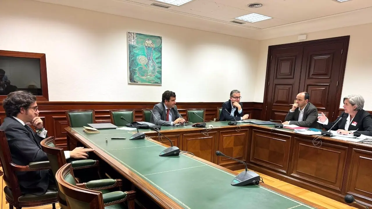Reunión en el Congreso entre el Grupo Parlamentario Vox, el Grupo Español de Materia Primas Estratégicas /Críticas y la empresa Quantum Minería