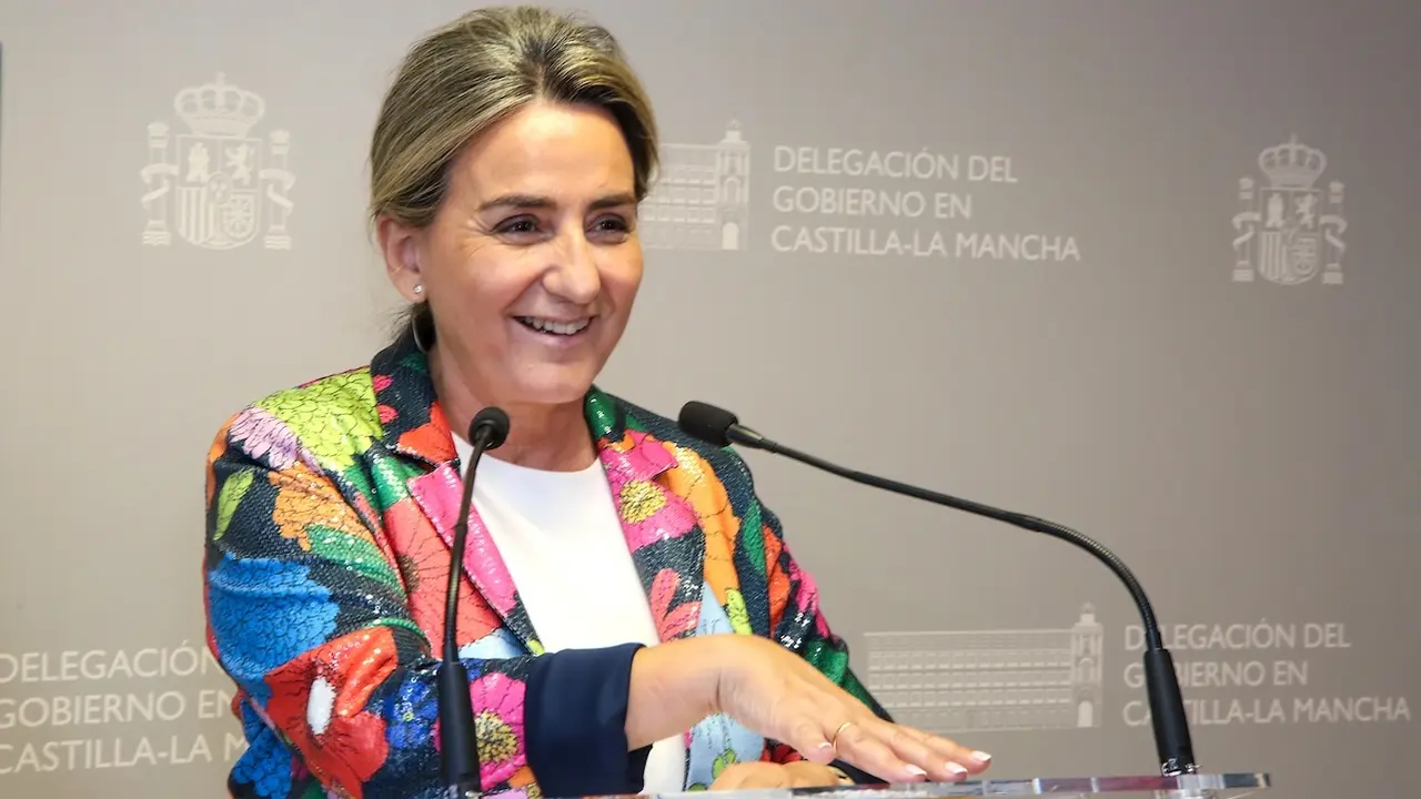 La delegada del Gobierno en Castilla-La Mancha, Milagros Tolón, en rueda de prensa en la sede de la Delegación