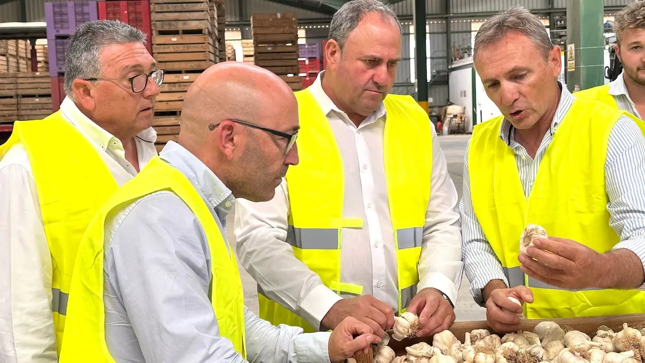 El consejero de Agricultura, Ganadería y Desarrollo Rural, Julián Martínez Lizán, durante la visita que ha realizado a la Cooperativa Santa Mónica en Balazote (Albacete)
