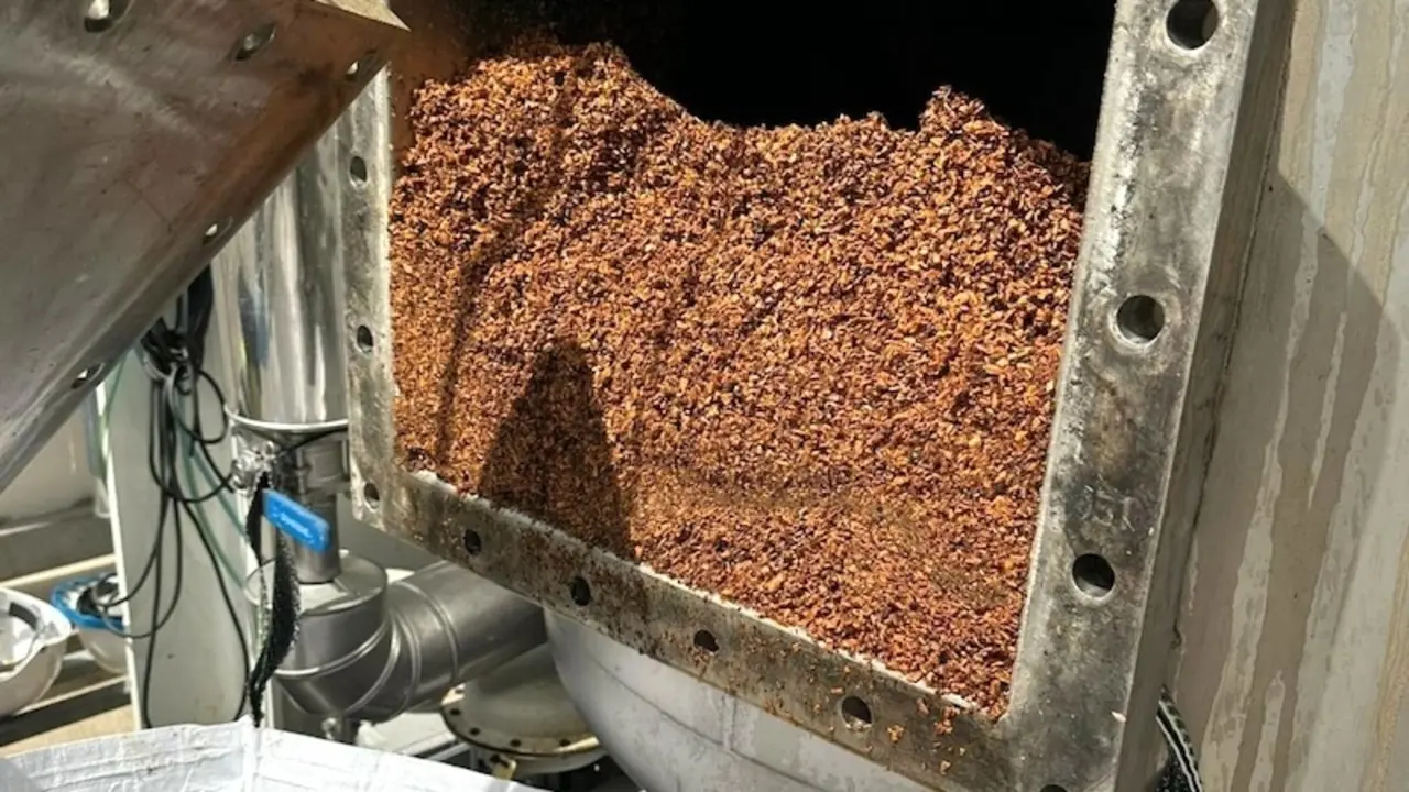 Un proyecto de investigación extrae antioxidantes de las nueces de Nerpio