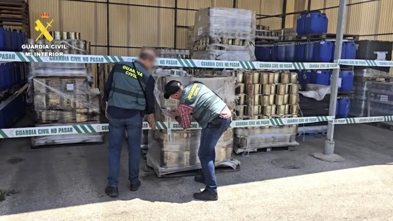 Inmovilizadas 80 toneladas de aceitunas y encurtidos no aptos para el consumo