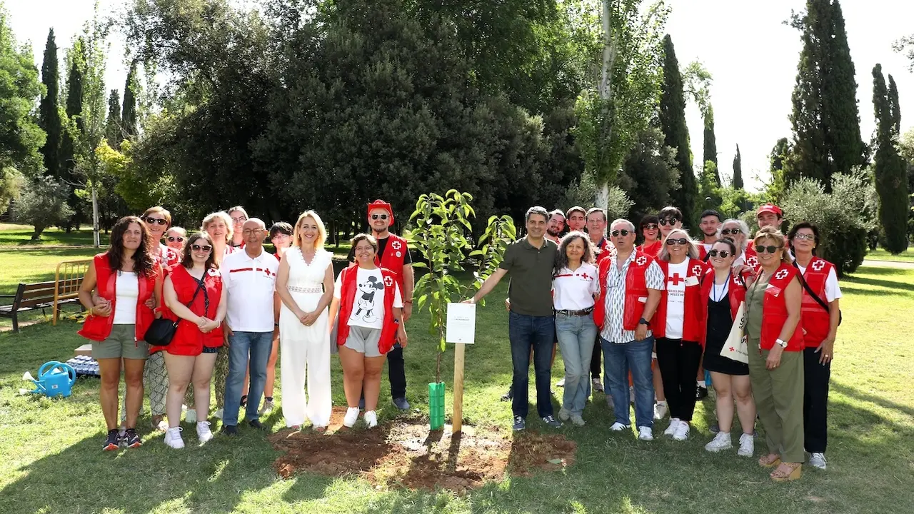 Cruz Roja planta el 'Árbol de la Humanidad' en Toledo para celebrar su 160 aniversario