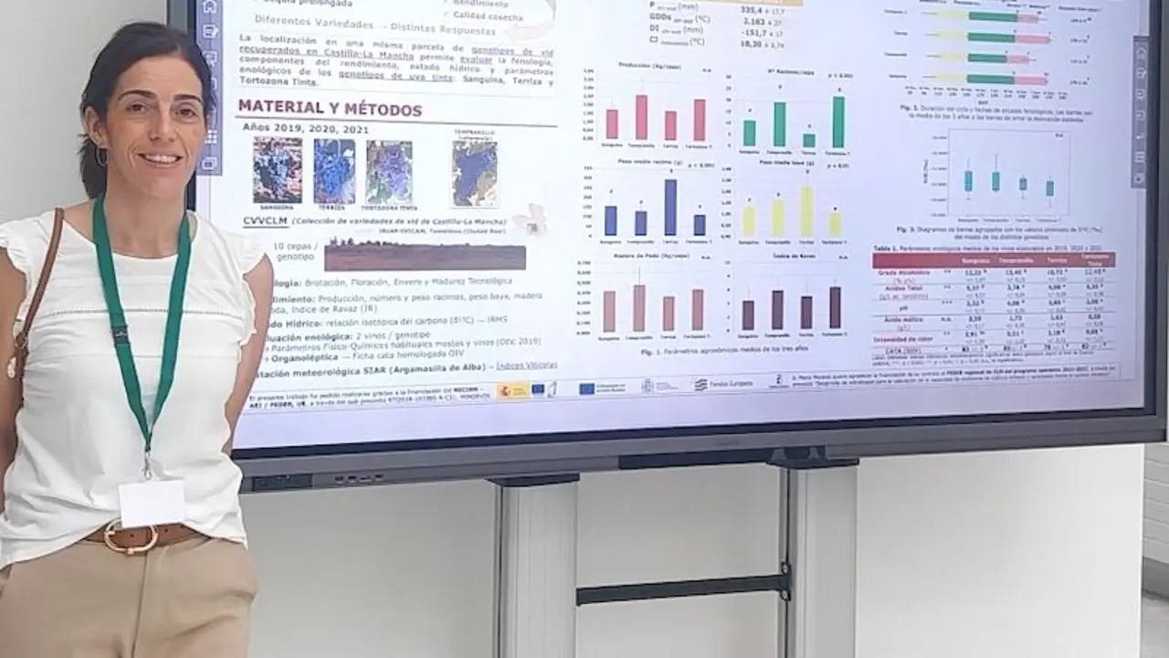 El Grupo de Investigación Vitivinícola del IRIAF profundiza en el conocimiento de tres variedades de uva tinta y su adaptación al cambio climático