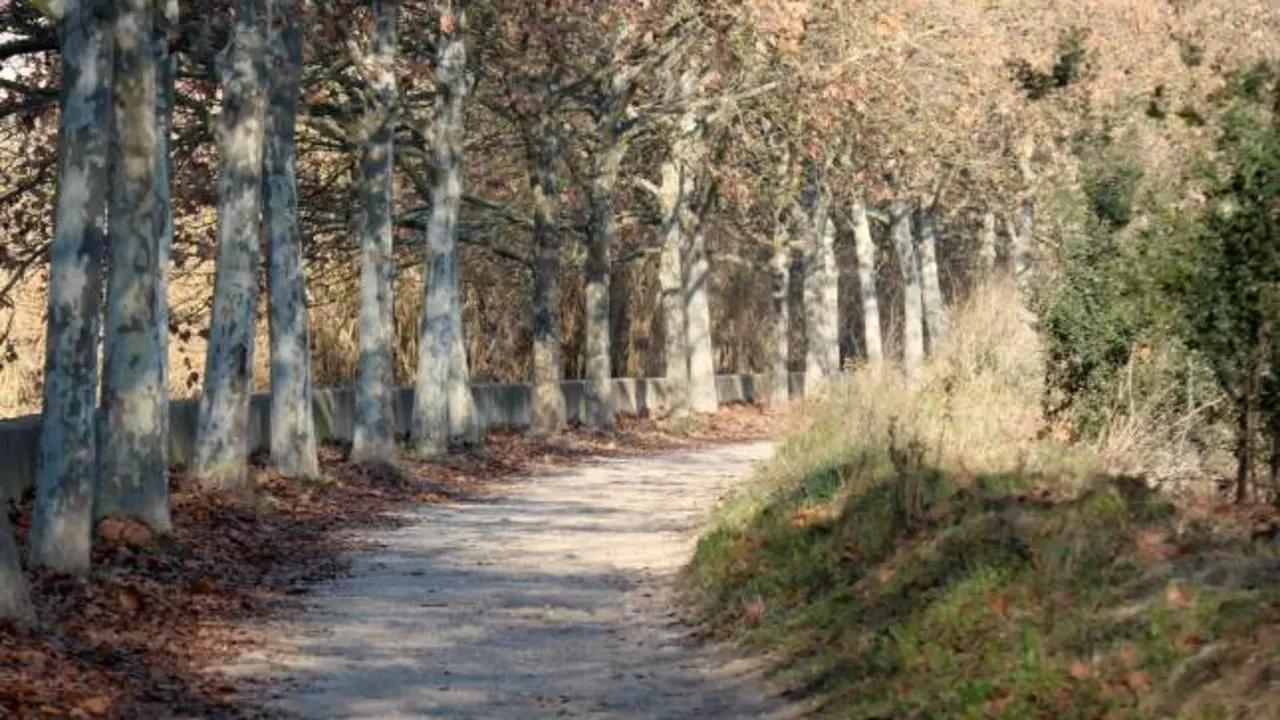 Buscan a un hombre tras atacar y violar a una chica que salió a caminar por el río