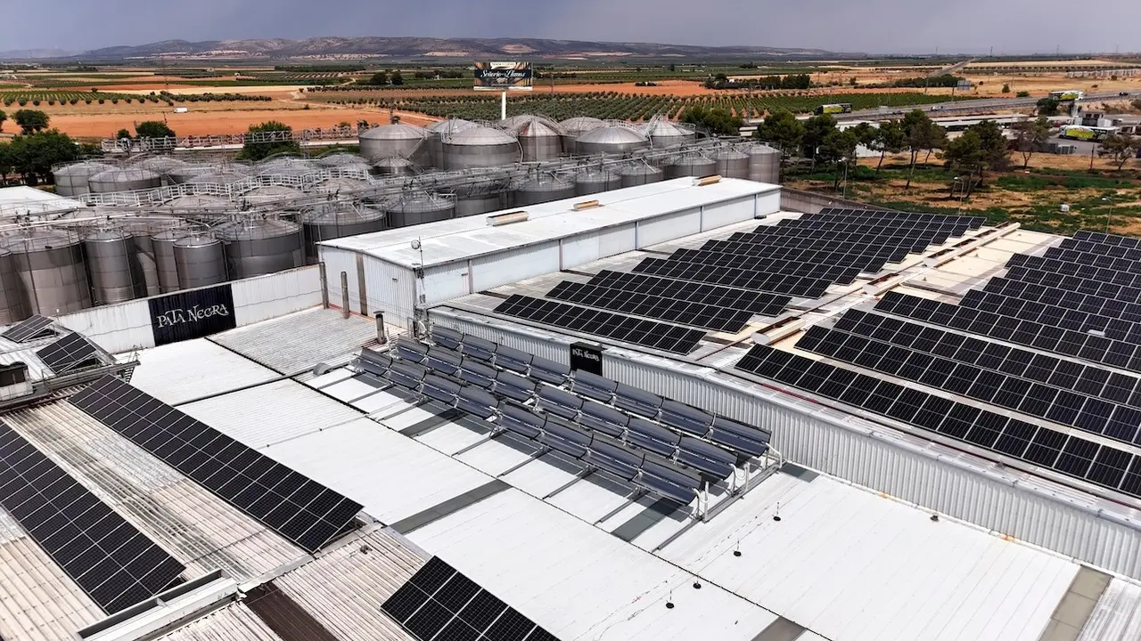 García Carrión y CEX Eco Energy crean un proyecto de energía termosolar
