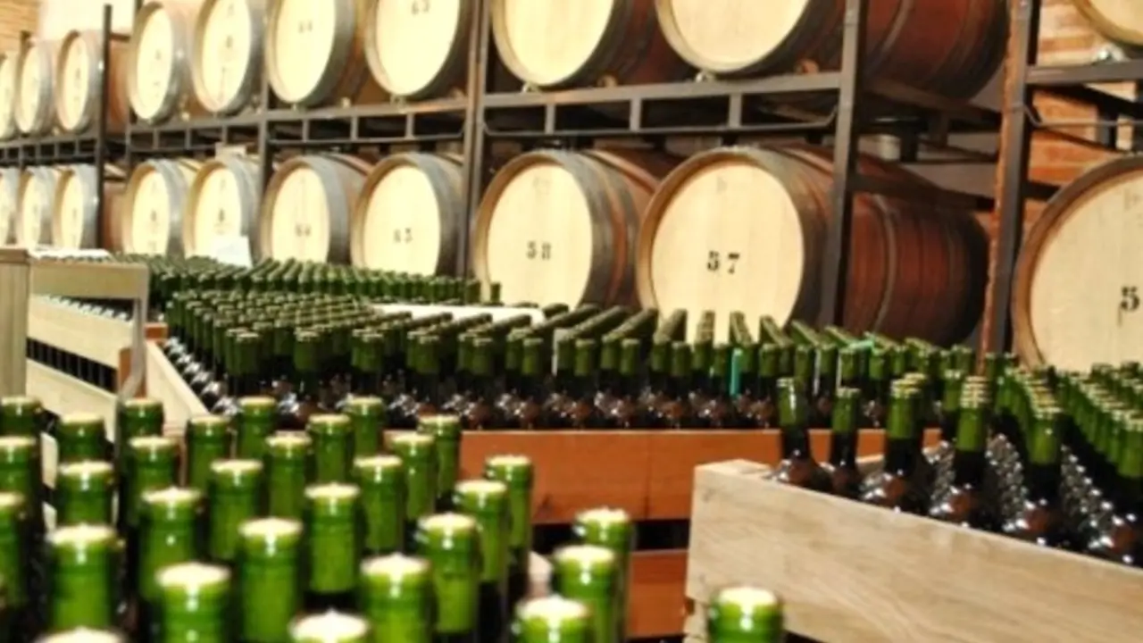 bodega, vino, viticultura, vendimia, vino a granel, cooperativa, botellas de vino, barricas