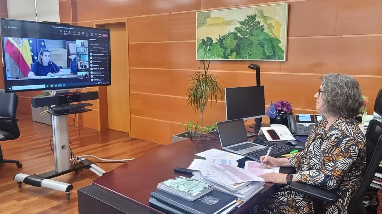 La consejera de Desarrollo Sostenible de Castilla-La Mancha, Mercedes Gómez, ha participado en la Conferencia Sectorial de Medio Ambiente del Ministerio de Transición Ecológica y Reto Demográfico (MITECO)