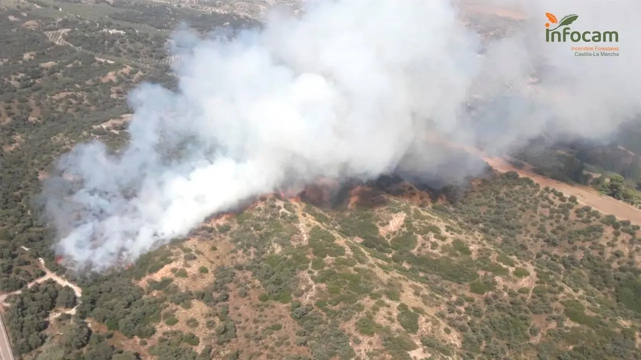 El Infocam activa el nivel 1 en un incendio forestal declarado en Mesegar de Tajo (Toledo)