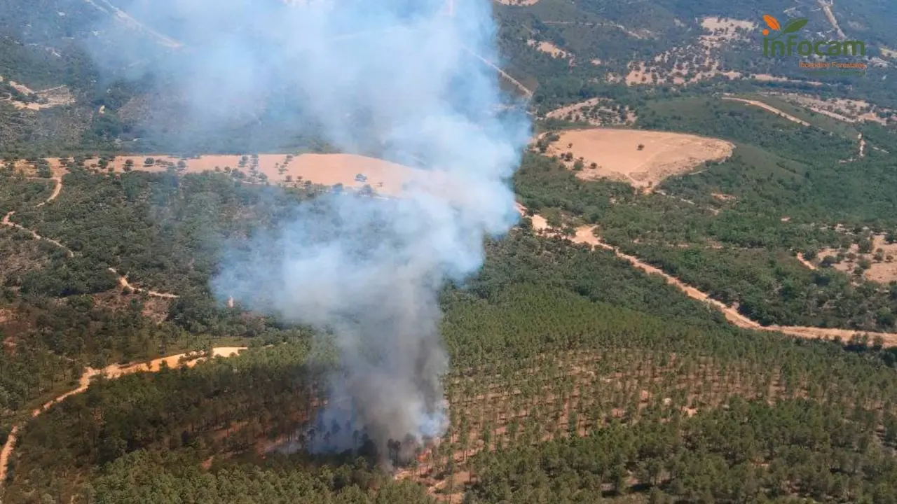 Medios aéreos y terrestres trabajan en la extinción de un incendio en Hontanar