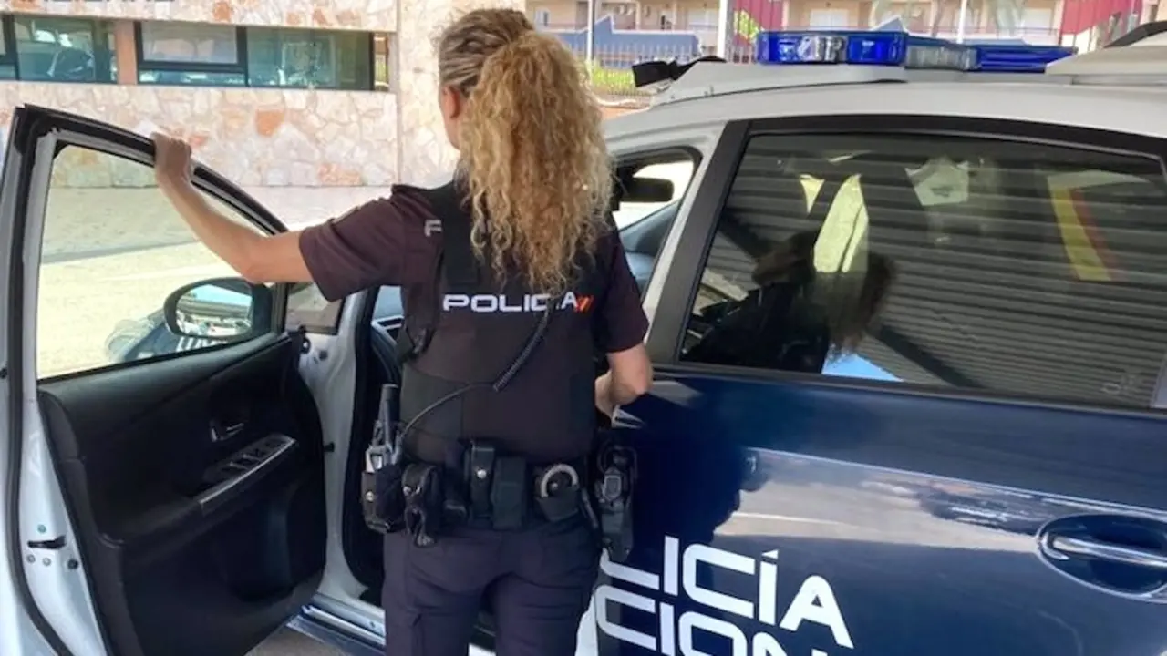 Policía Nacional, agente, patrulla, detenido, detenidos, robo, violencia, reyerta