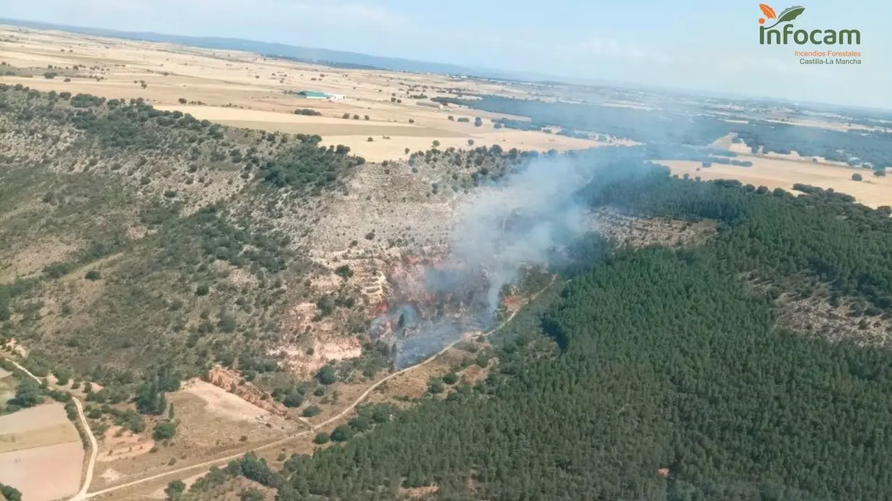 Medios aéreos y terrestres combaten un incendio forestal declarado en Argecilla (Guadalajara)