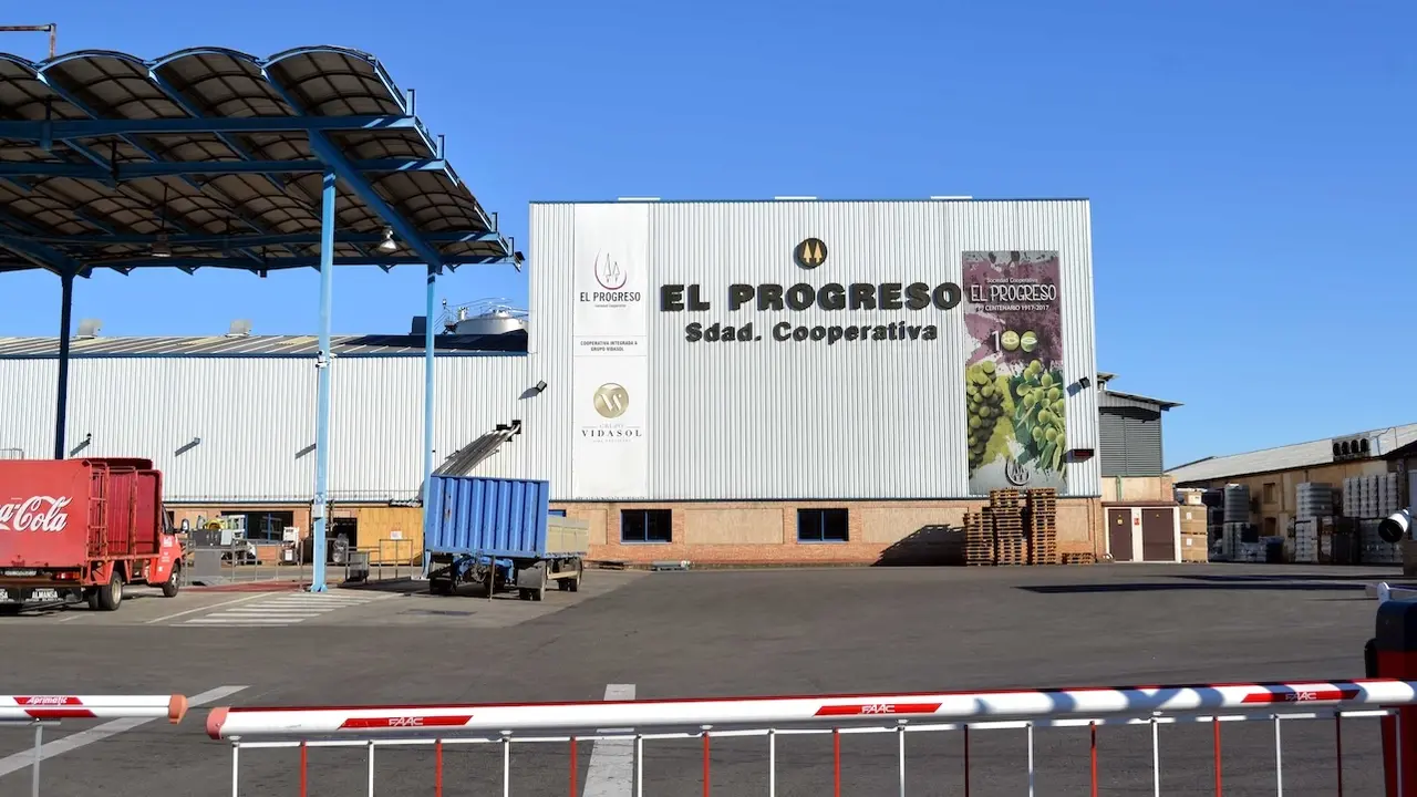 La cooperativa El Progreso empieza a recoger las variedades de uva más tempranas