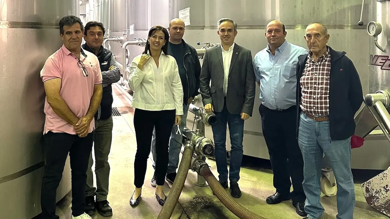 Diez bodegas y cooperativas de Cuenca reciben 1,4 millones en ayudas VINATI
