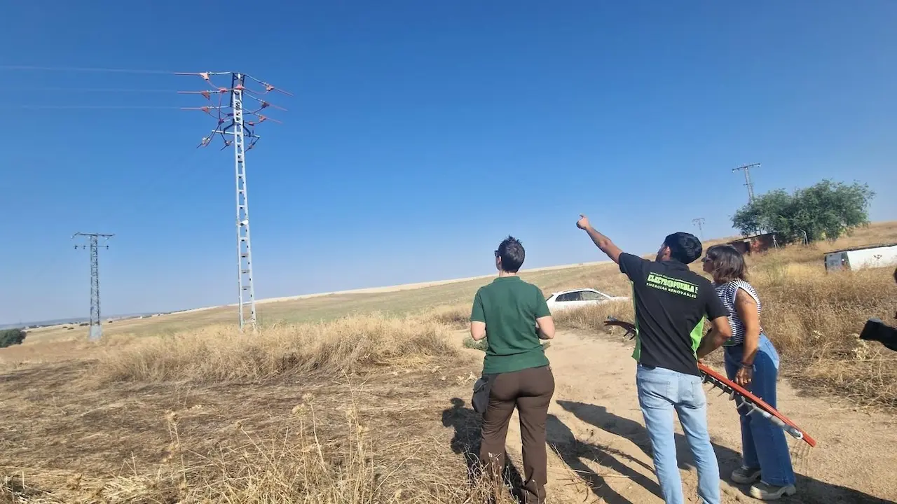Castilla-La Mancha destina 10,7 millones a proteger a la avifauna de colisiones y electrocuciones