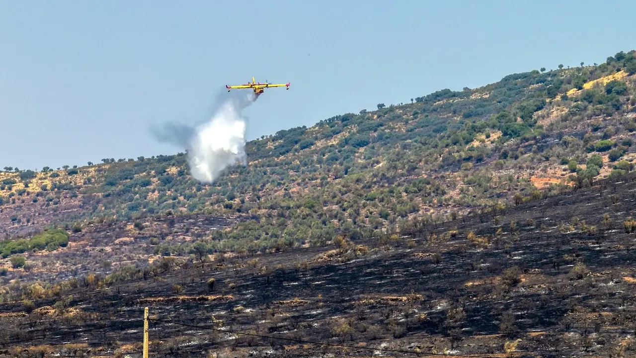 Un hidroavión participa en las tareas de extinción del incendio forestal declarado este martes en La Estrella (Toledo) - EFE/Ángeles Visdómine
