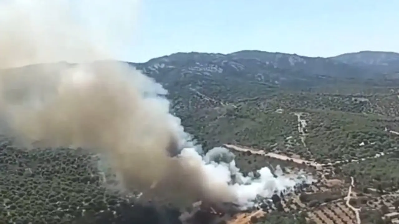 Medios trabajan en la extinción de un incendio forestal declarado en Viso del Marqués (Ciudad Real)