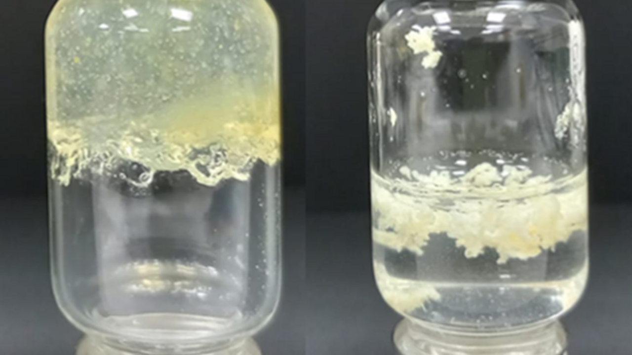 La UCLM desarrolla un hidrogel antimicrobiano para el tratamiento ecológico de frutas y de las heridas