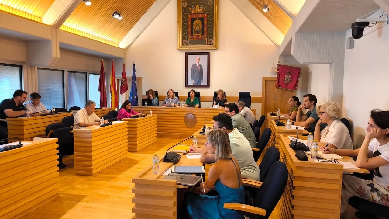 En la imagen un instante de la reunión del Consejo Local de Turismo del Ayuntamiento de Ciudad Real