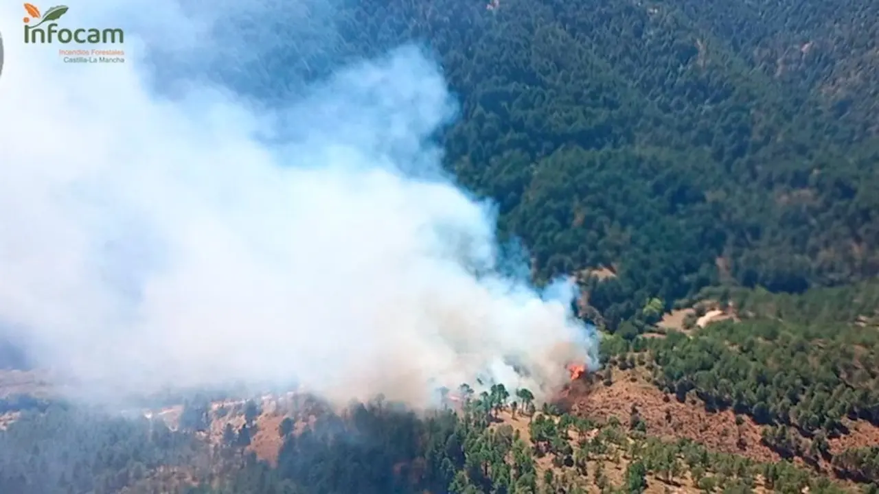 Trabajan en la extinción de un incendio forestal declarado en Paterna del Madera (Albacete)