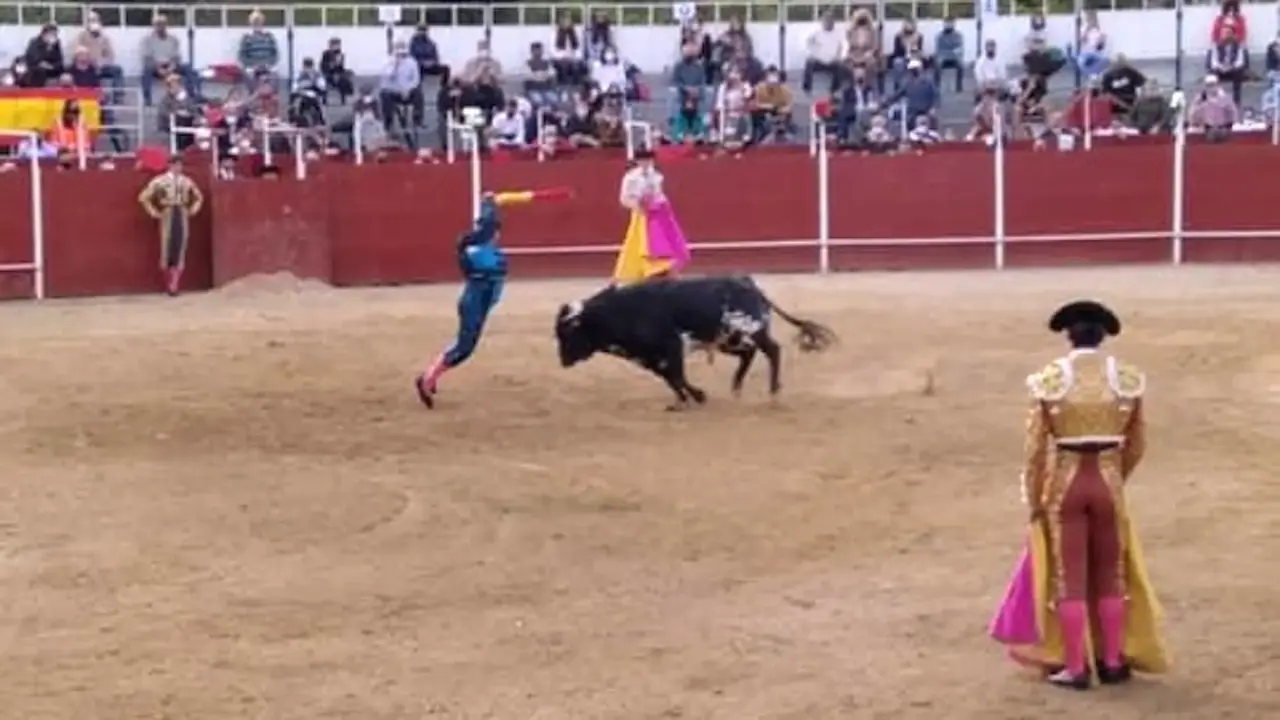 Un torero y un picador heridos durante un festejo taurino en un pueblo de Toledo