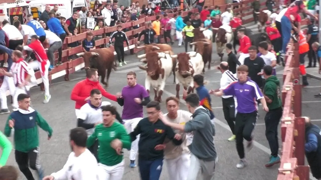 Guadalajara acoge un primer encierro de fiestas "limpio y rápido" con un herido leve y dos corredores contusionados