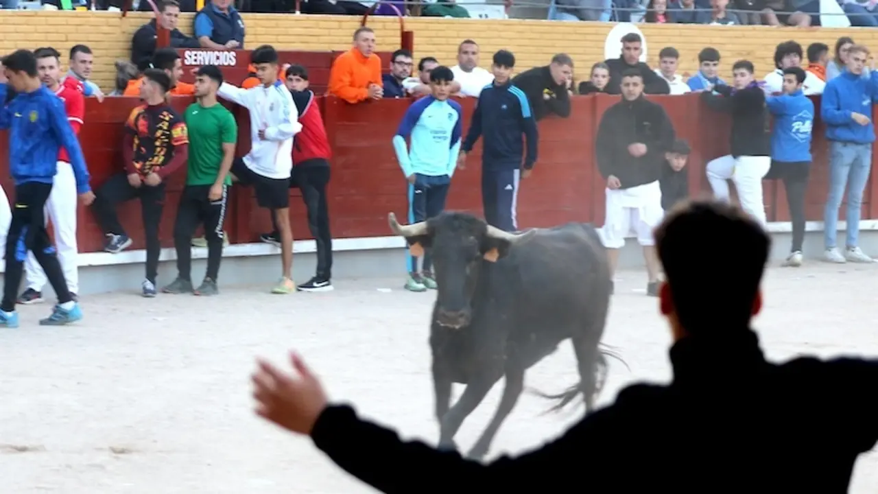 Sin incidencias en el segundo encierro de Guadalajara con "gran afluencia"
