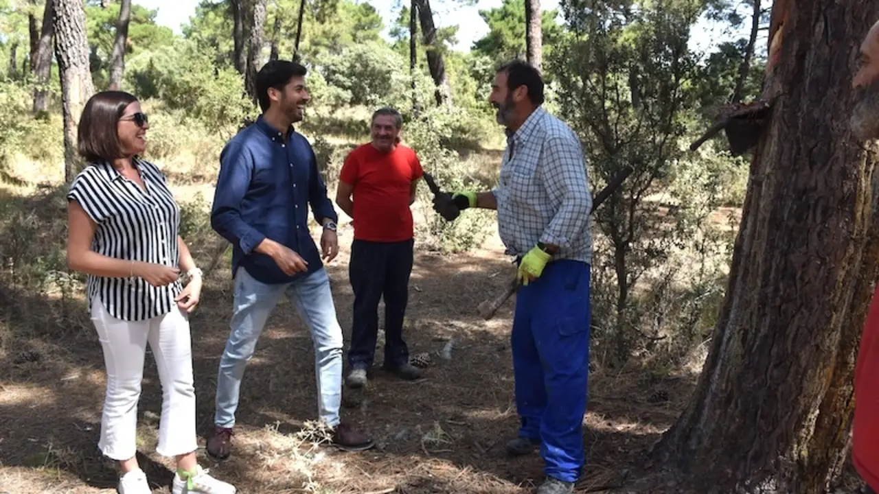 Las ayudas para resineros de Diputación de Cuenca se incrementan en un 80%