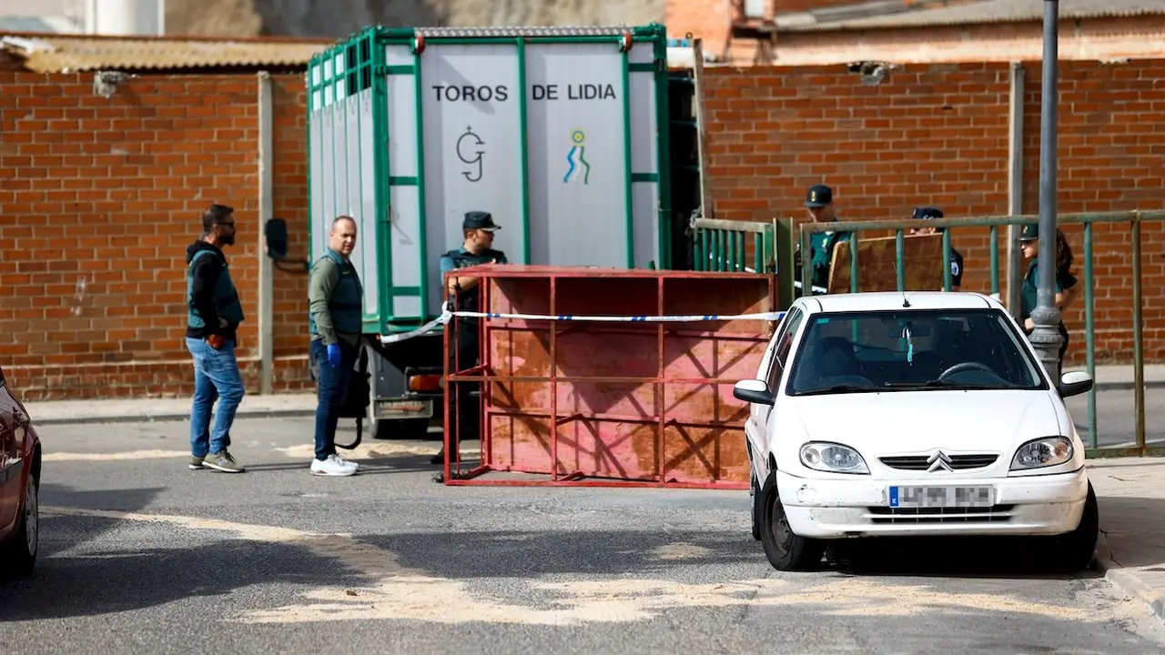 Una persona ha muerto y otras tres han resultado heridas de diversa consideración en un encierro, entre ellas una niña, tras escaparse un toro en el encierro de Pantoja (Toledo) - EFE/ Ismael Herrero