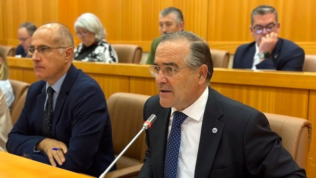 El alcalde de Talavera de la Reina (Toledo), José Julián Gregorio, durante su intervención en el Pleno del Ayuntamiento