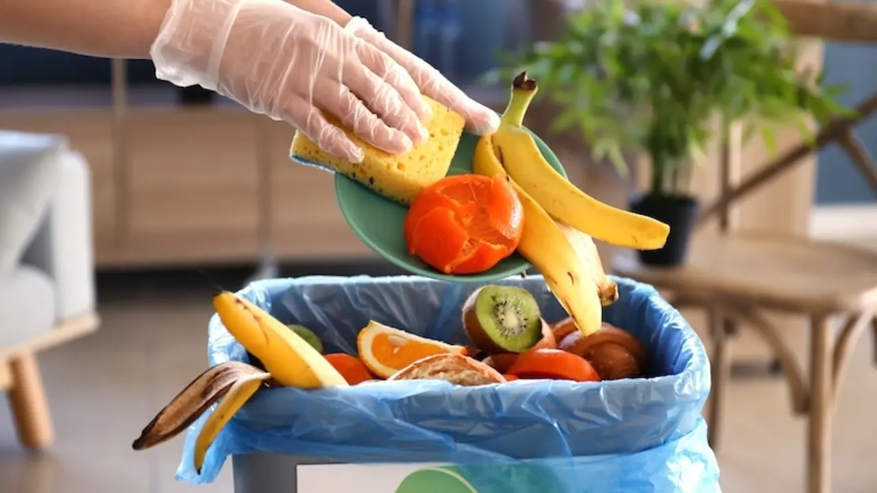 Sanidad aconseja planificar comidas y listas de compra contra el desperdicio alimentario