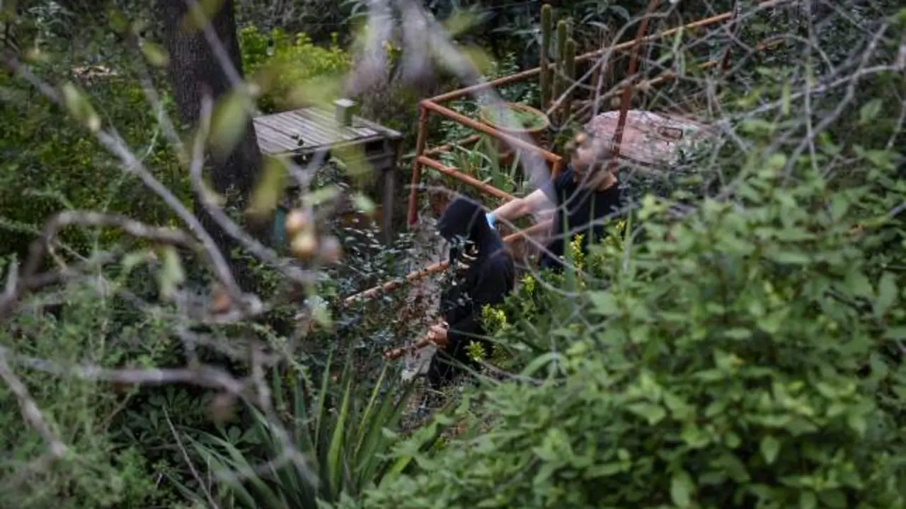 Asesinado un joven de 29 años y enterrado en cal viva en el bosque por una deuda