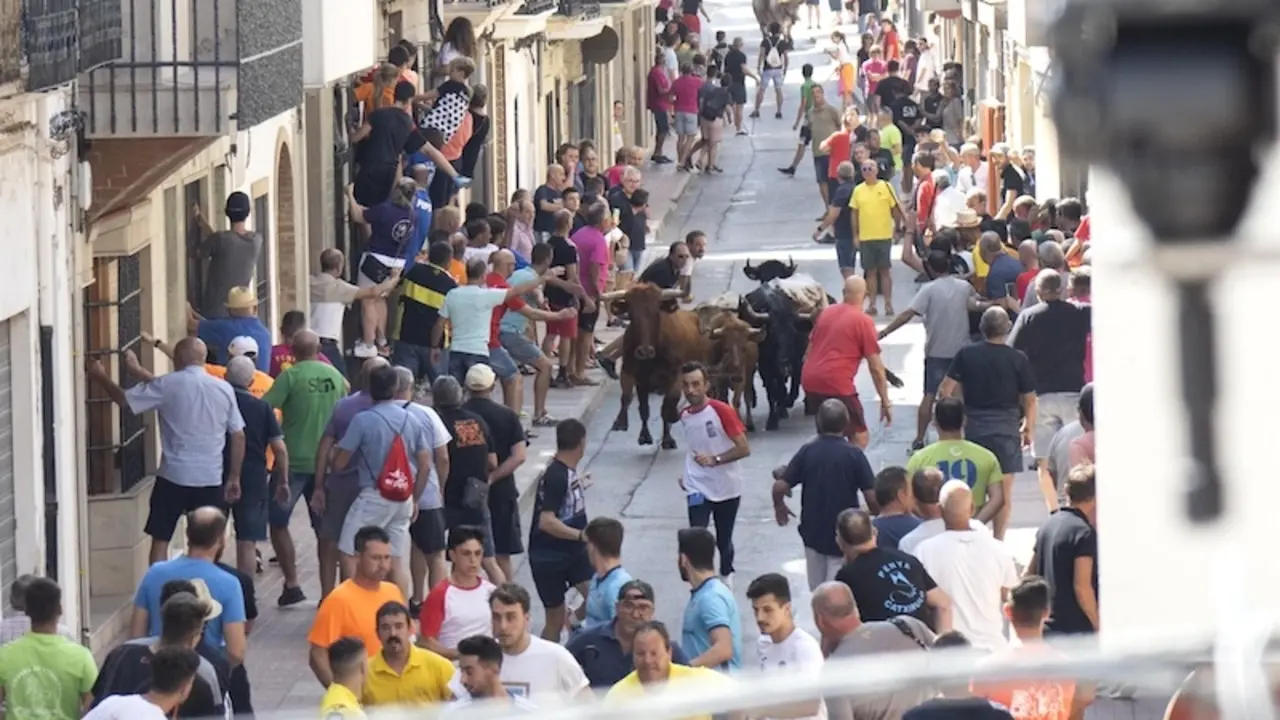 Muere una mujer al sufrir una cogida durante la celebración de un festejo taurino