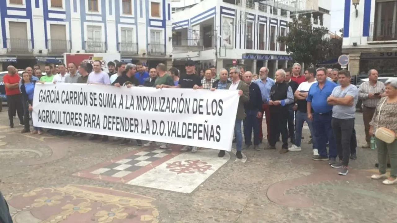 Agricultores de la DO Valdepeñas piden aprobar los estatutos de la interprofesional - Fotografía: CMM