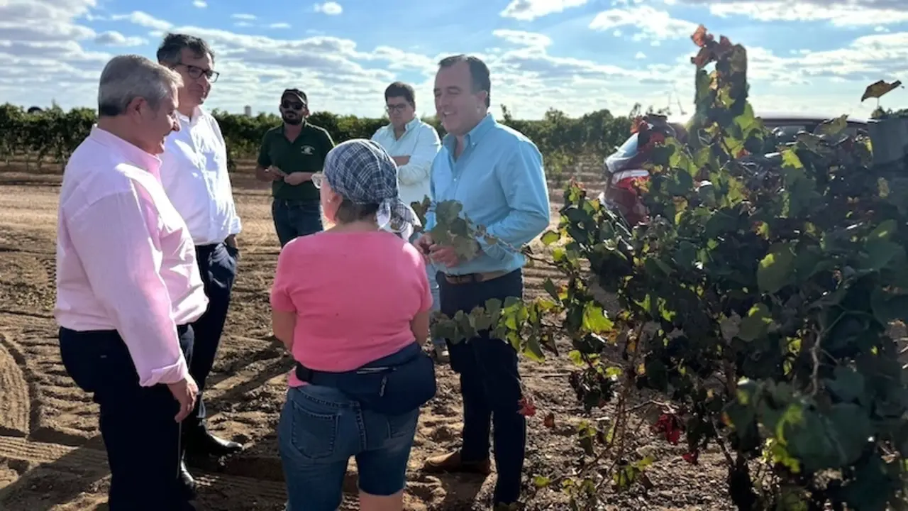 El presidente del Grupo Vox en las Cortes de Castilla-La Mancha, David Moreno, en su visita a una explotación vitivinícola de la región
