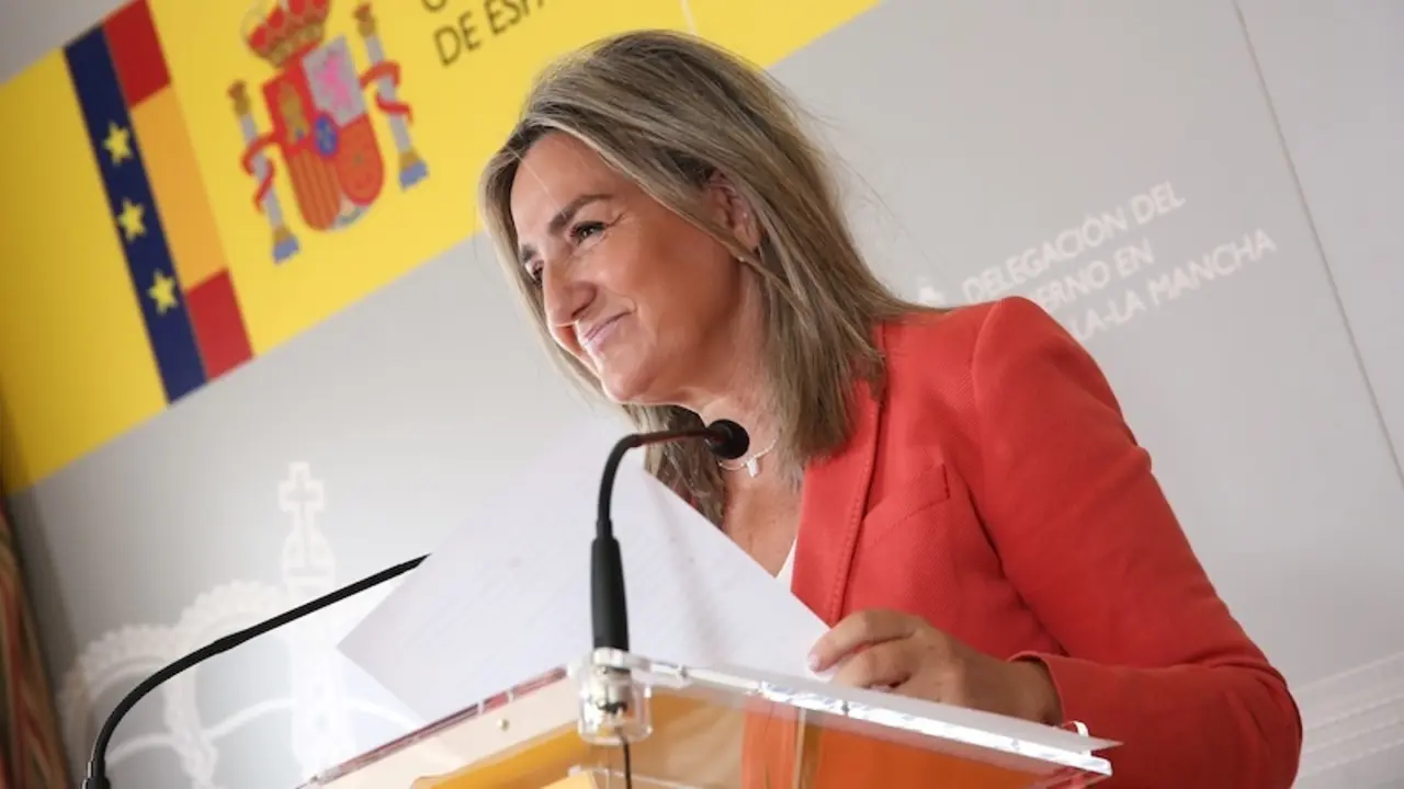 La delegada del Gobierno en Castilla-La Mancha, Milagros Tolón, durante la rueda de prensa que ha ofrecido en la sede de la Delegación en Toledo