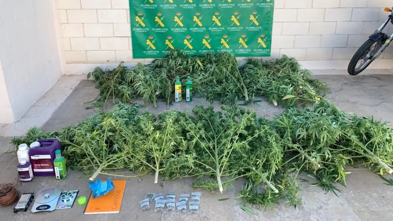 Tres detenidos y 17 kilos de marihuana incautados en una operación en Tomelloso (Ciudad Real)