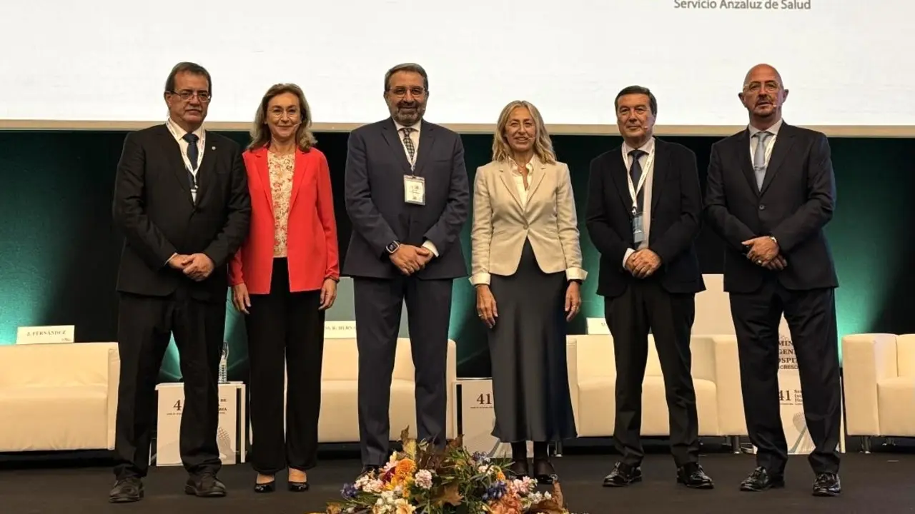 El consejero de Sanidad de Castilla-La Mancha, Jesús Fernández Sanz, ha participado en una mesa redonda celebrada en Sevilla, dentro del 41º Seminario de Ingeniería Hospitalaria