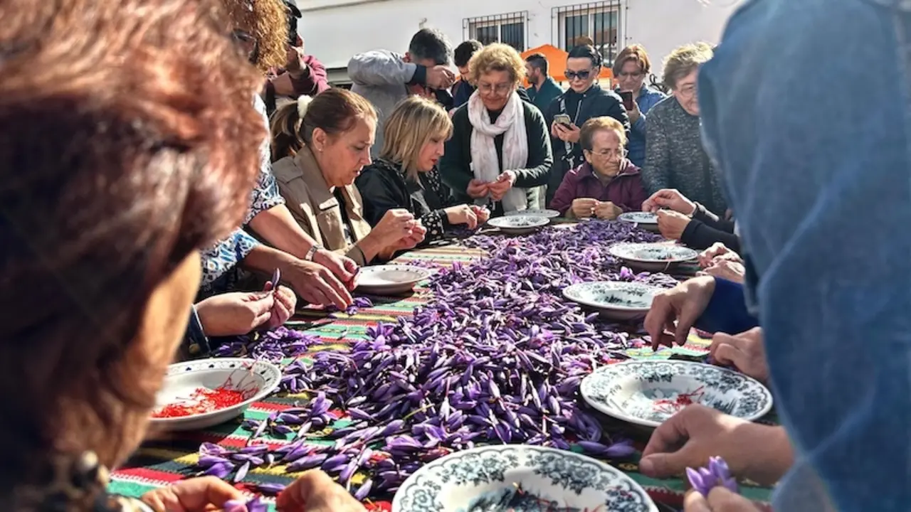 La pedanía albaceteña de Santa Ana celebra el 37 Festival de la Rosa del Azafrán
