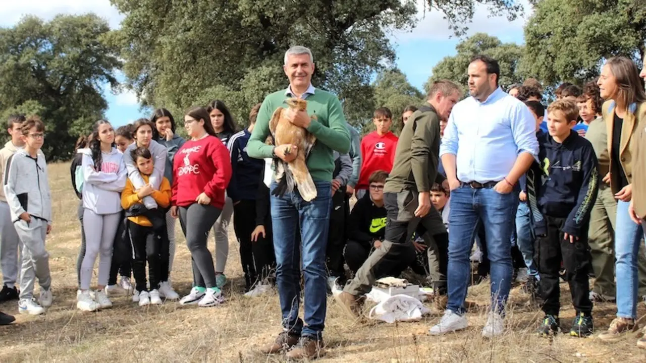 Sueltan en Oropesa el primer águila imperial ibérica criada en cautividad