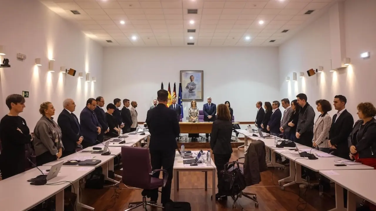 El pleno del Ayuntamiento de Guadalajara se ha iniciado este jueves con un minuto de silencio en señal de duelo ante el estremecedor balance de pérdida de vidas humanas por el temporal de la DANA