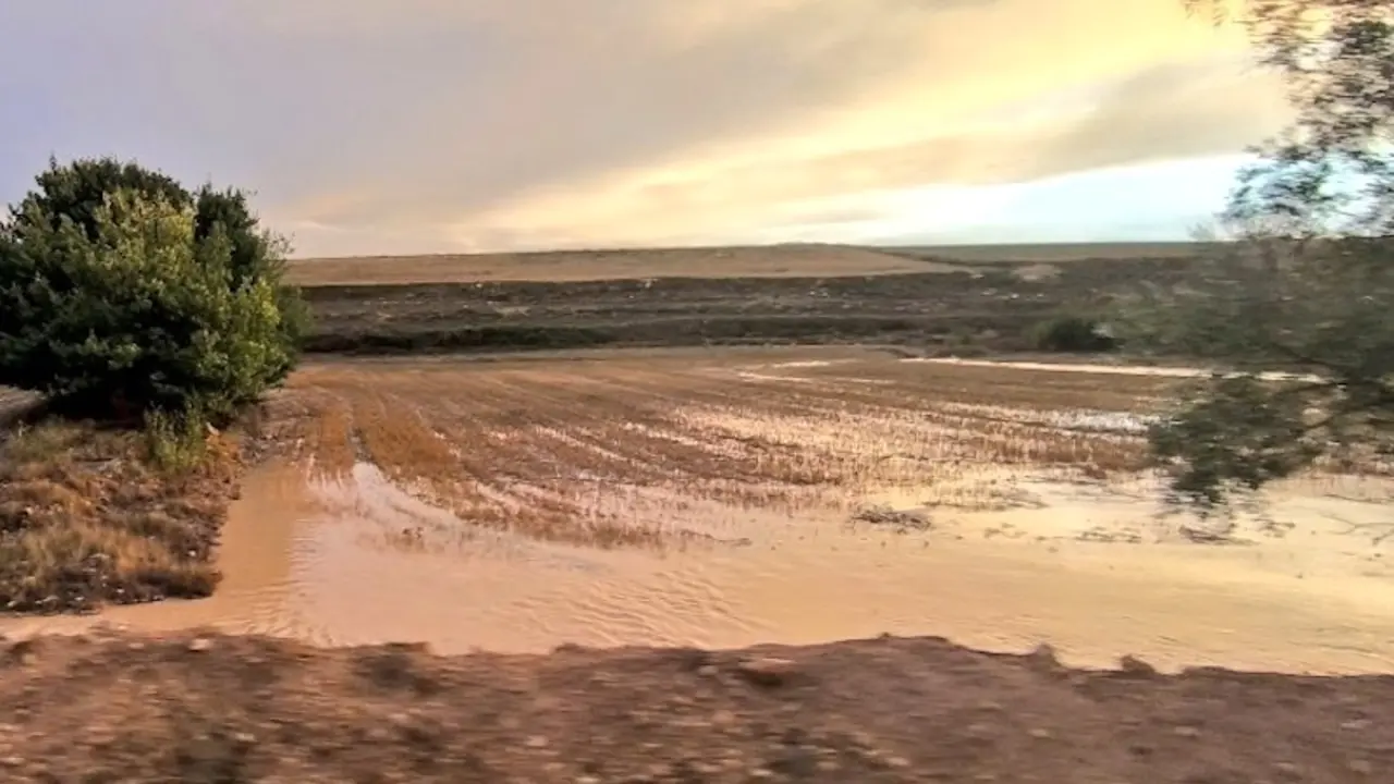 Asaja pide medidas urgentes para el campo afectado por la dana en Albacete y Cuenca, agricultura, dana, tormenta, campo, cultivos, daños, seguros, temporal,&nbsp;