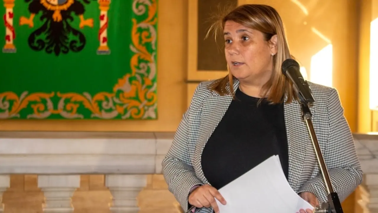 La portavoz del PSOE en la Diputación de Toledo, Tita García Élez