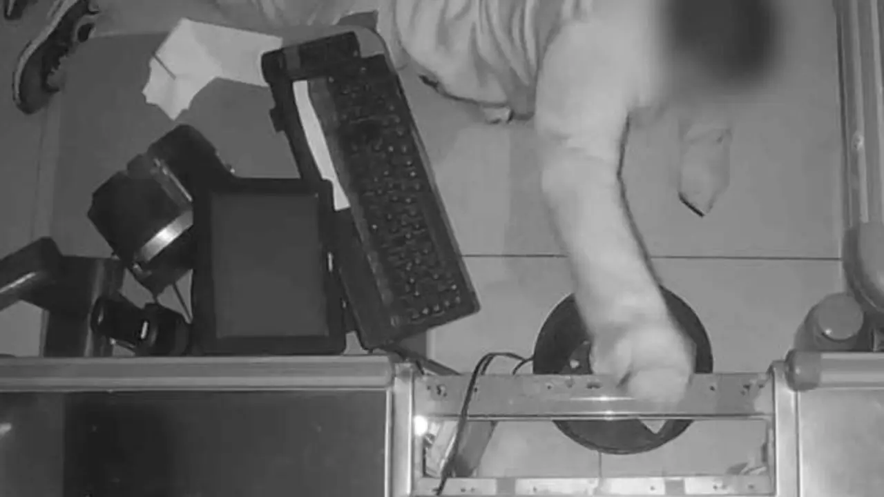 VIDEO. Un ladrón con pocas luces: borra las huellas, pero no se ha tapado la cara