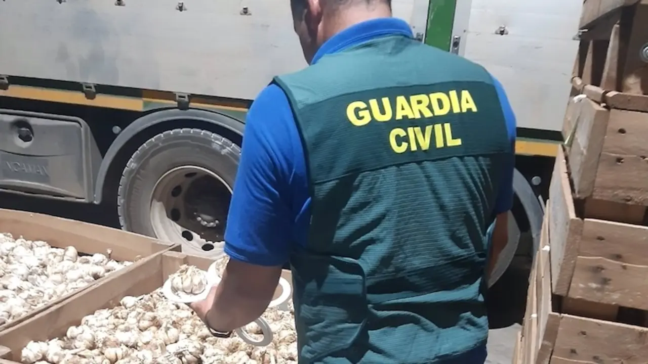 Cuatro investigados por estafa en venta de ajos, dos de ellos socios de la empresa estafada, en El Pedernoso (Cuenca)
