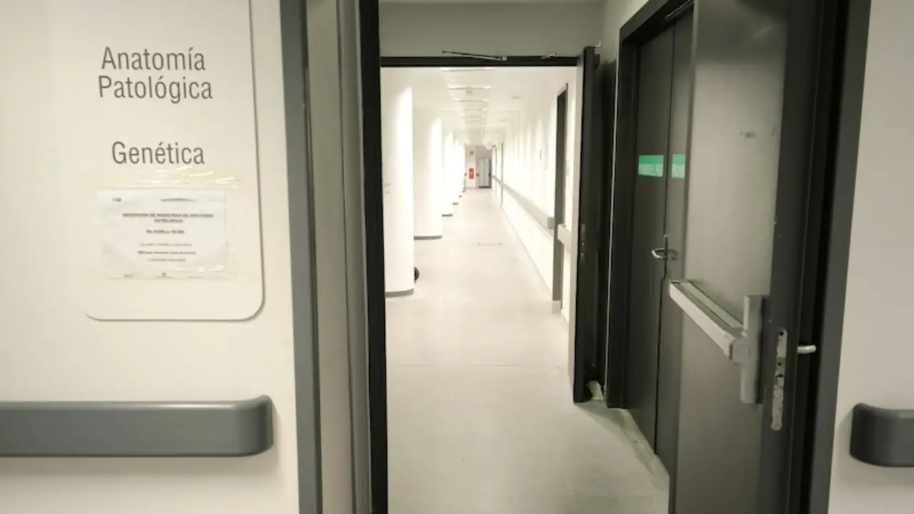 CSIF reclama subsanar deficiencias del Laboratorio de Anatomía Patología del HUT