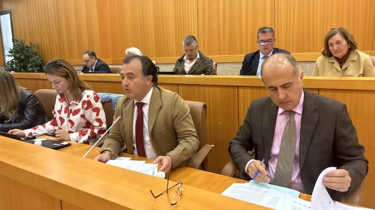 En el centro, el vicealcalde de Talavera de la Reina (Toledo) y presidente de Vox en las Cortes de Castilla-La Mancha, David Moreno, en un Pleno del Ayuntamiento talaverano - Archivo