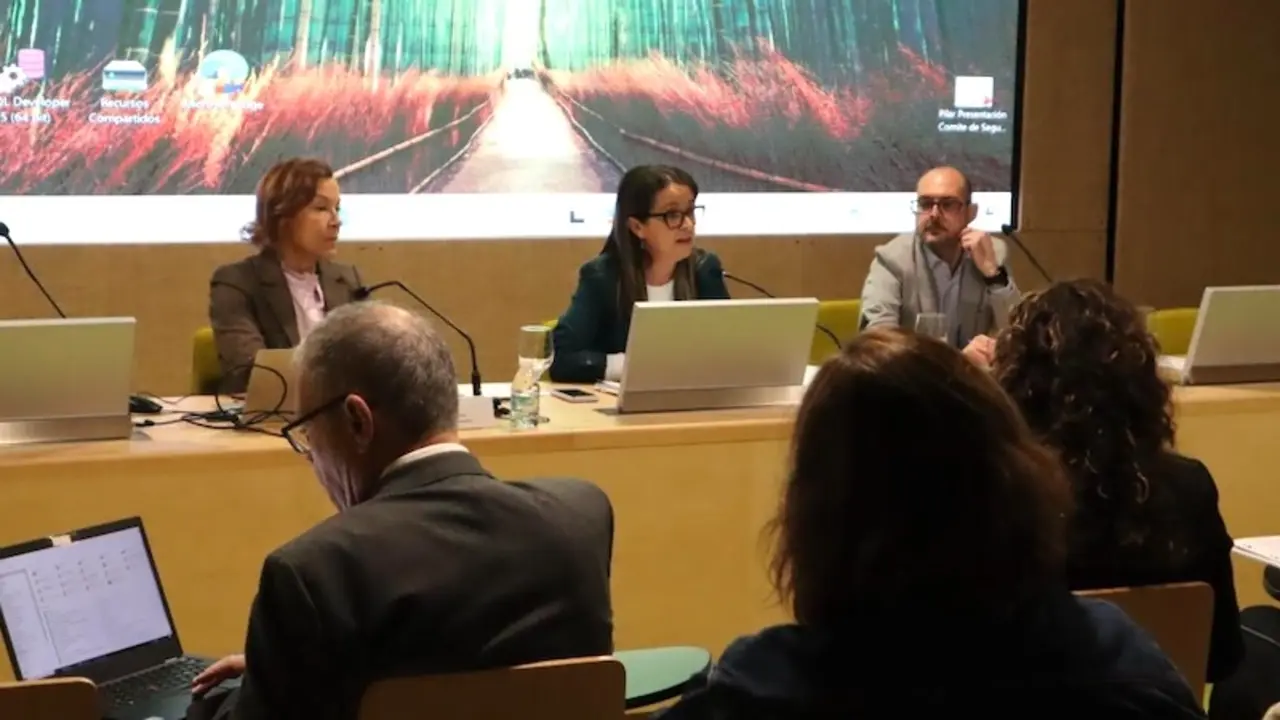 La viceconsejera de Política Agraria Común y Política Agroambiental, Gracia Canales, en la reunión del Comité de Seguimiento del PEPAC celebrada recientemente